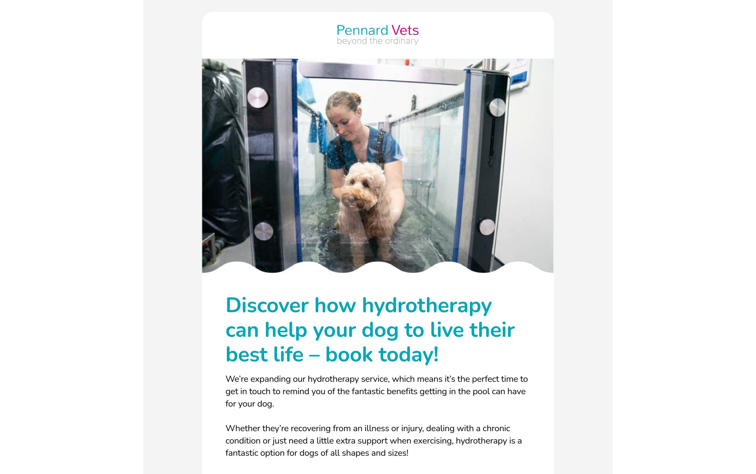 Hydrotherapy Email Campaign